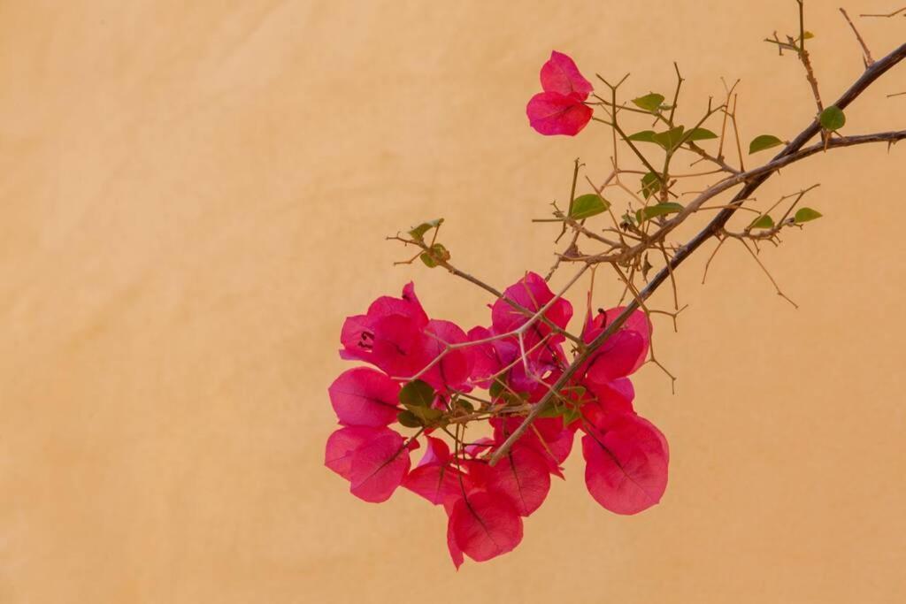 History And Charm Apartment Chania  Bagian luar foto